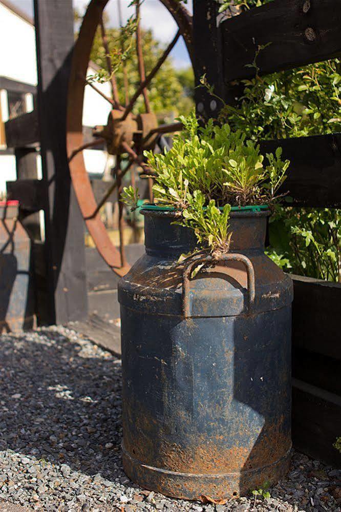 Hotel Cambridge Coach House Extérieur photo